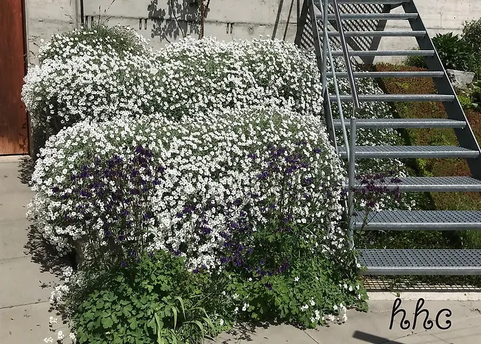 Daire Aquileia Scuol